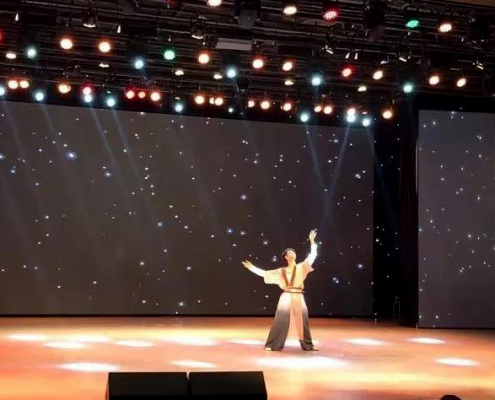 我校学生参加成都市“美丽心情”舞蹈展演获得优异成绩